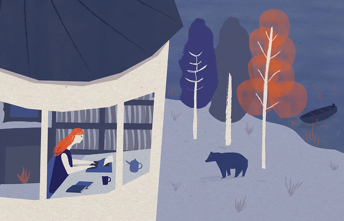 Bear illustration