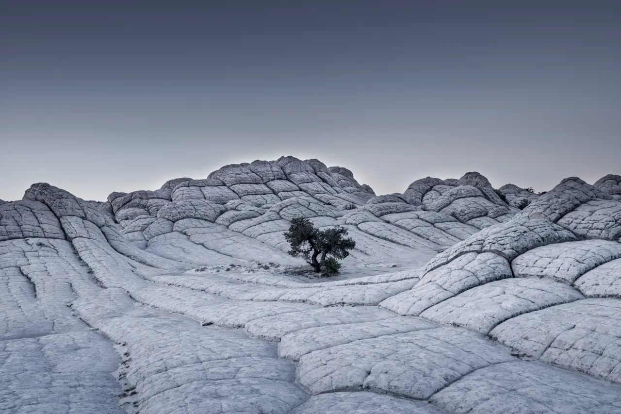 The "Lonely Tree" is located in a hard to reach plateau of the Vermilion Cliffs (AZ), called "White pocket". The photograph was taken quite some time before sunrise so no color would distract by filling into the picture | © Tom Jacobi, Germany, Shortlist, Professional, Landscape, 2017 Sony World Photography Awards