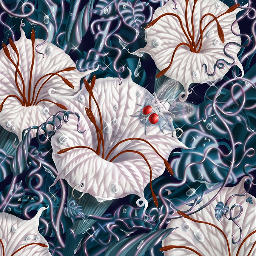 © Fangyu Ma