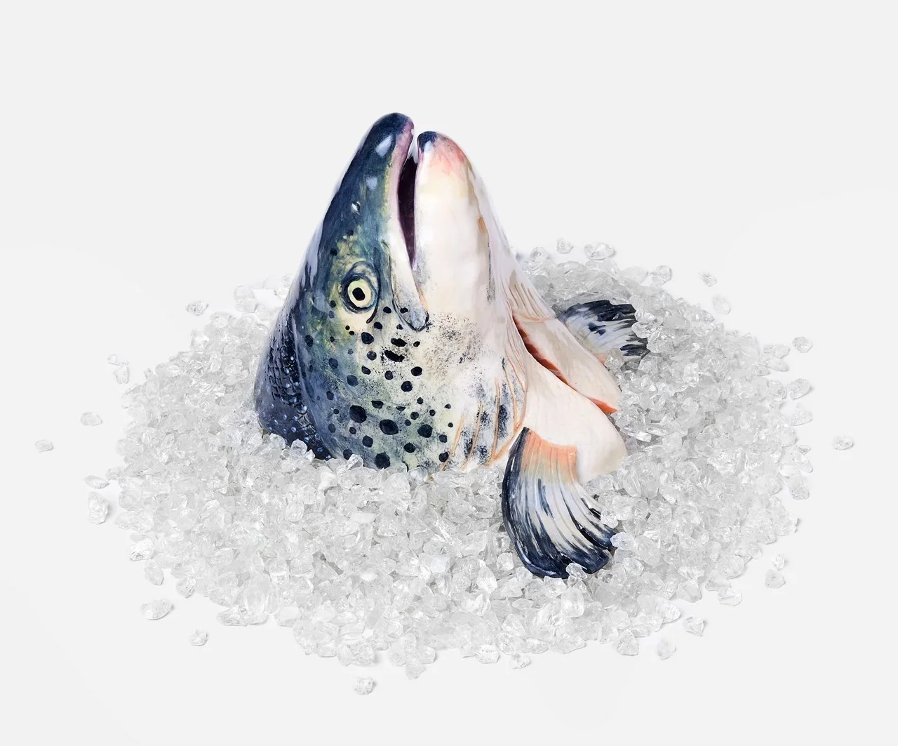 © Stephanie H Shih