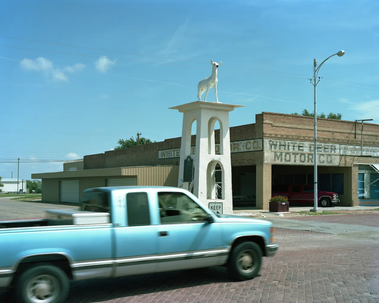 Whitedeer Texas