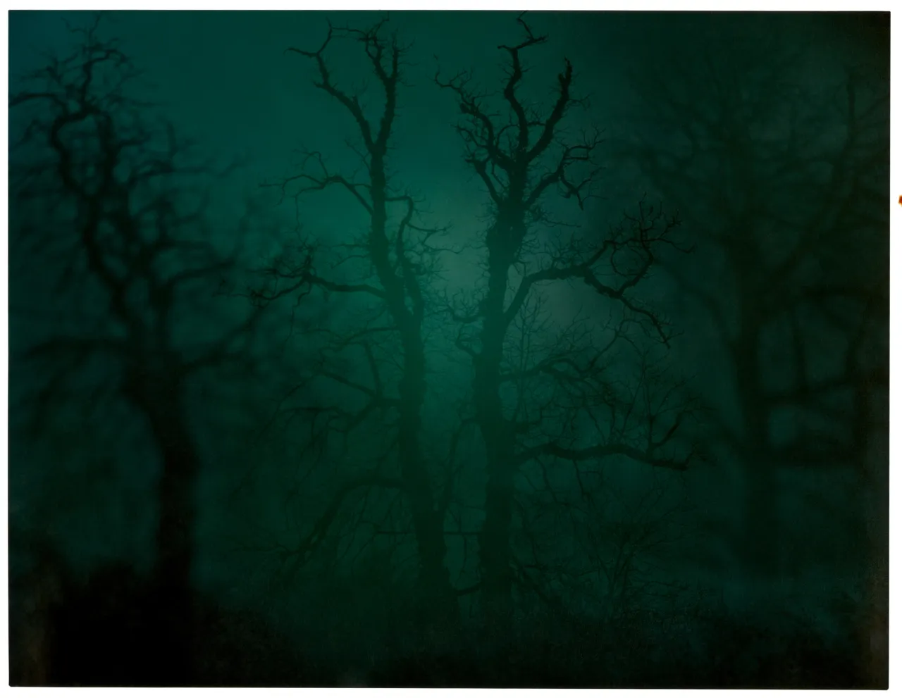 In Darkness Visible (Verse I) #14 (2007) © Nicholas Hughes