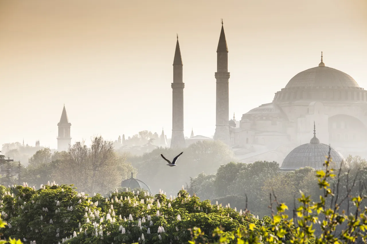 Image courtesy of [Adobe Stock](https://stock.adobe.com)