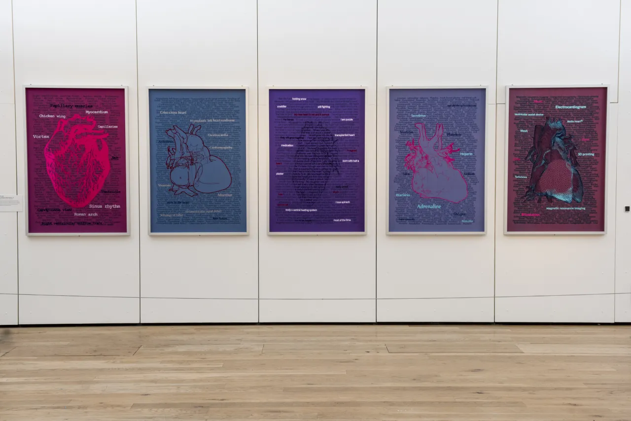 Sofie Layton, The Landscape of Heart Disease (2016). Great North Museum. Image: Stephen King.