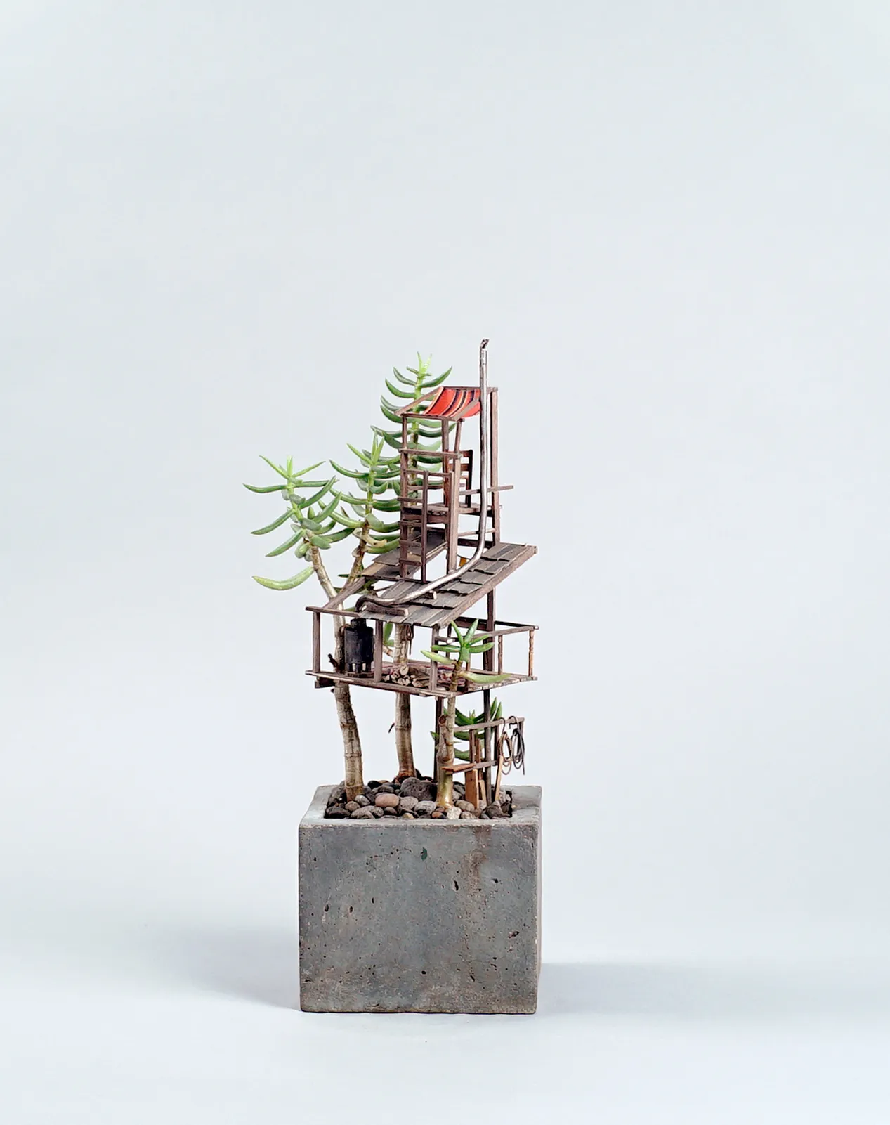 © Jedediah Corwyn Voltz