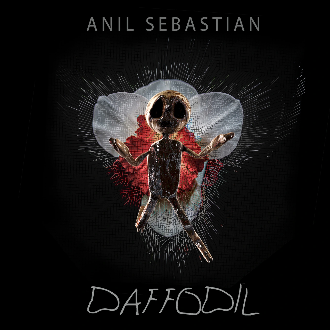 Daffodil cover