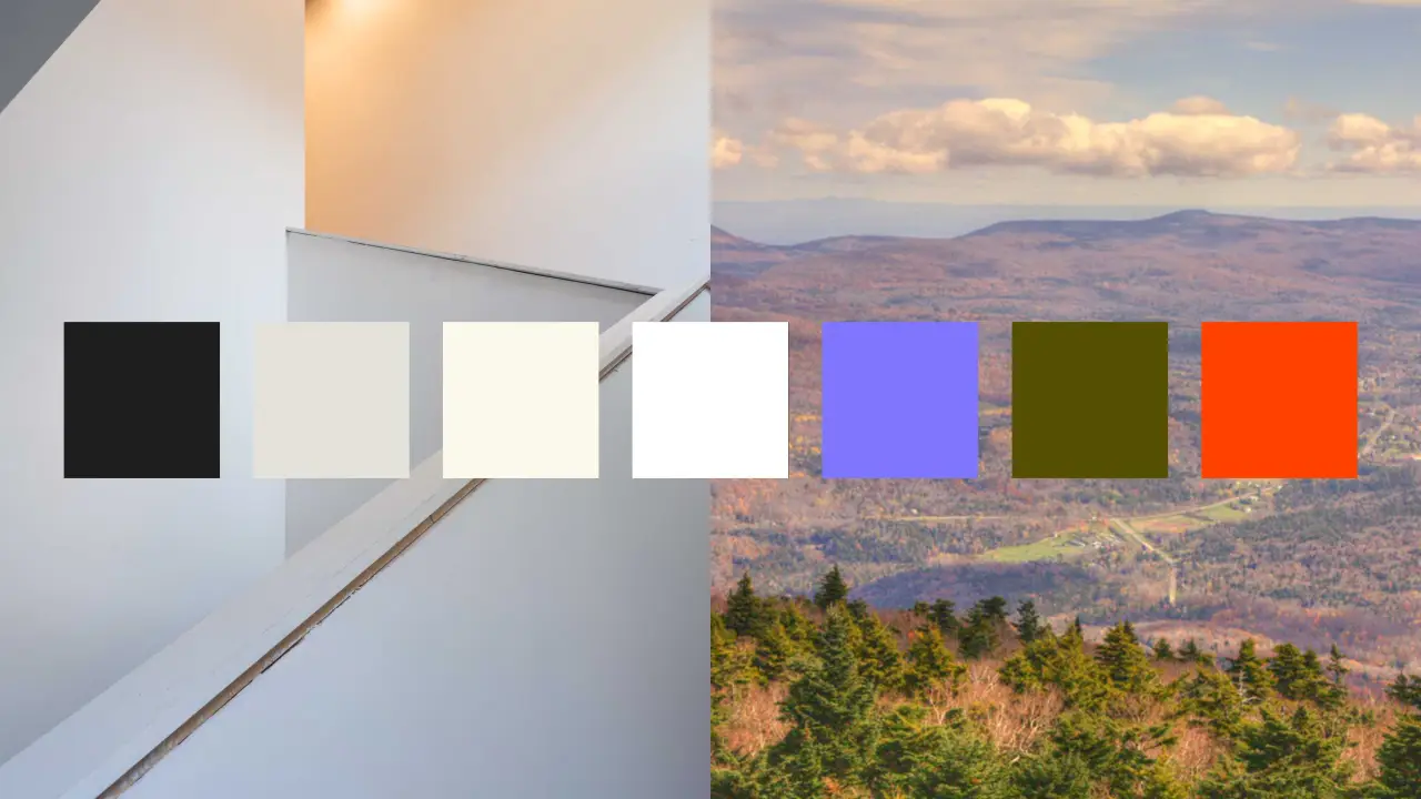 Credit: Athletics / Catskill Art Space