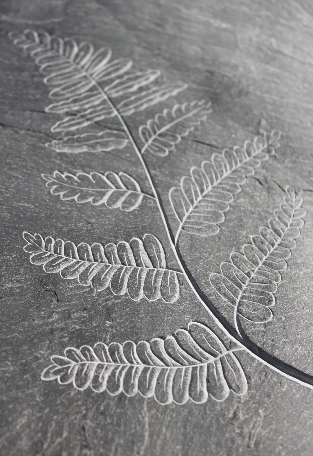 Fiona Flack, Fern