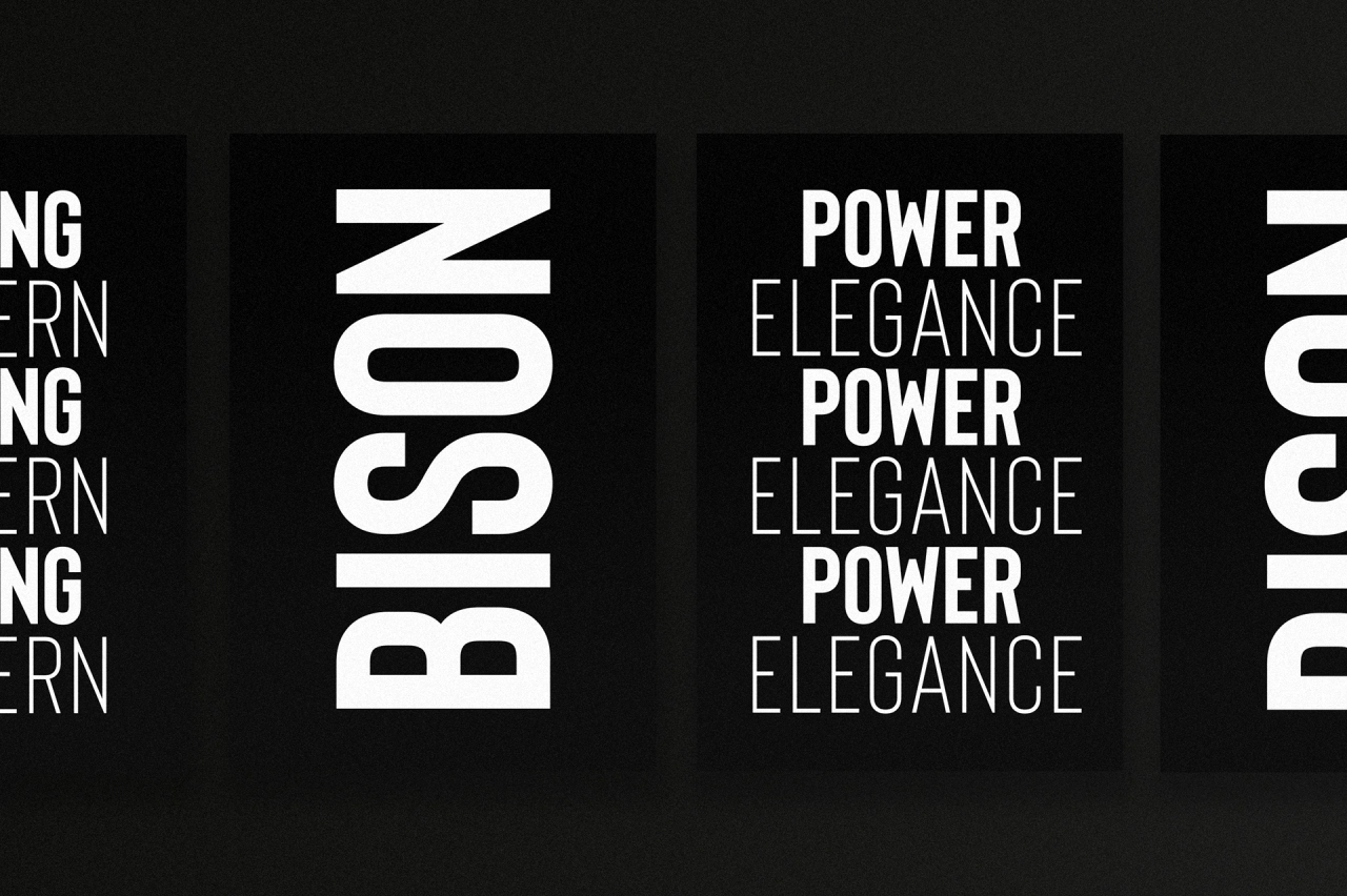 Bison by Ellen Luff