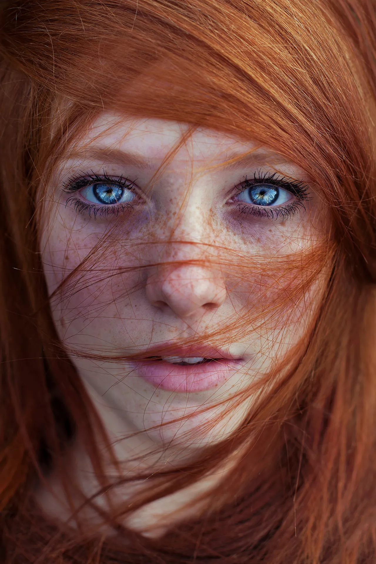 © Maja Topčagić