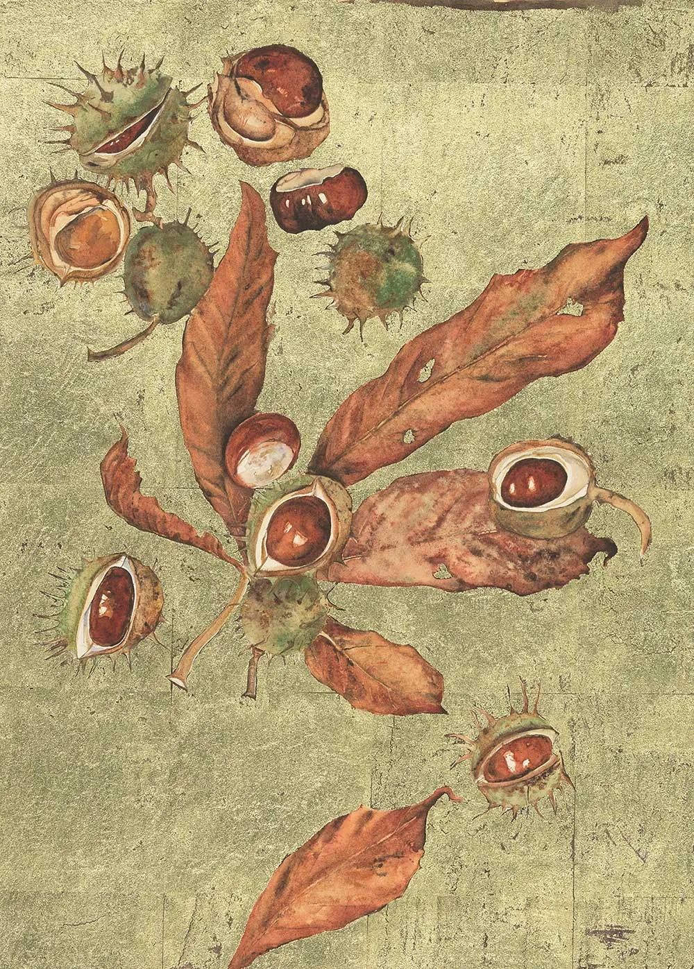 Jackie Morris, Conker, 2017 © Jackie Morris