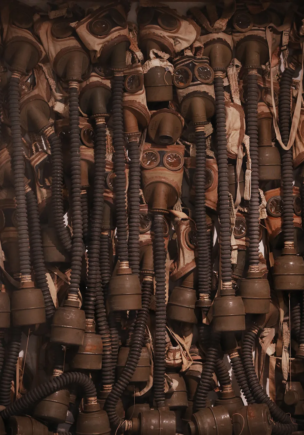 Magnificent Obsessions: The Artist as Collector. Photograph by Peter McDiarmid