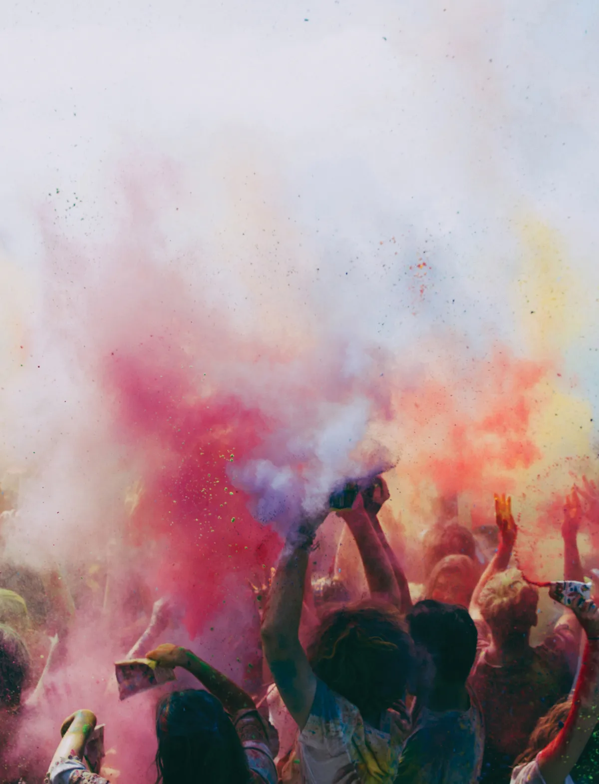 ID: [171681810](https://stock.adobe.com/images/colour-festival/171681810?prev_url=detail)