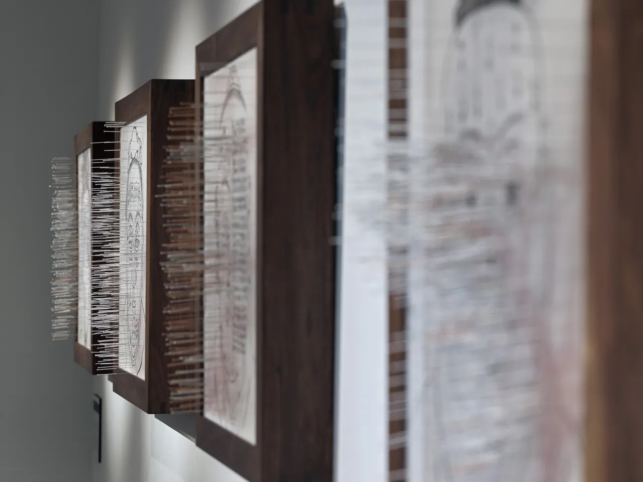 Secret Path 1-4 by Zhang Yanzi at Surgeons’ Hall Museums. Credit: John McKenzie and Galerie Ora-Ora