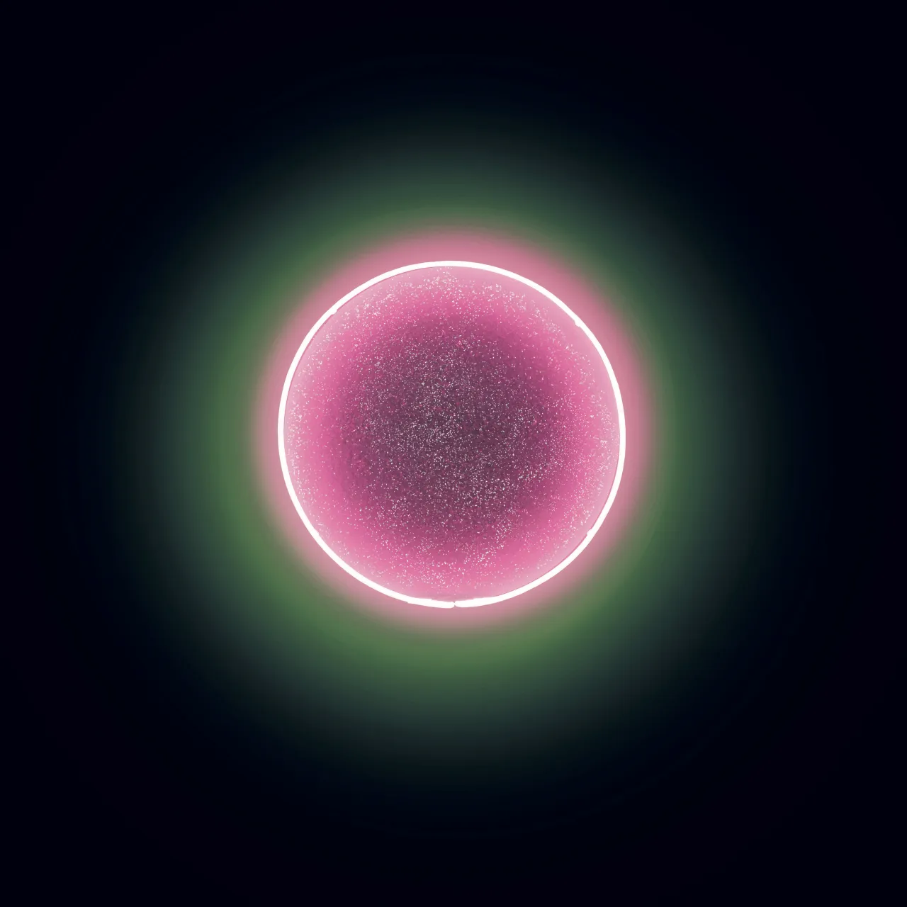 Universal Frequency.