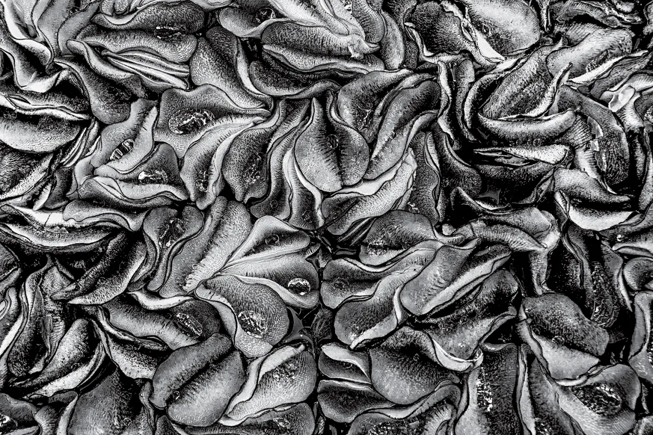 Yingting Shih, Creative Revelation of Nature