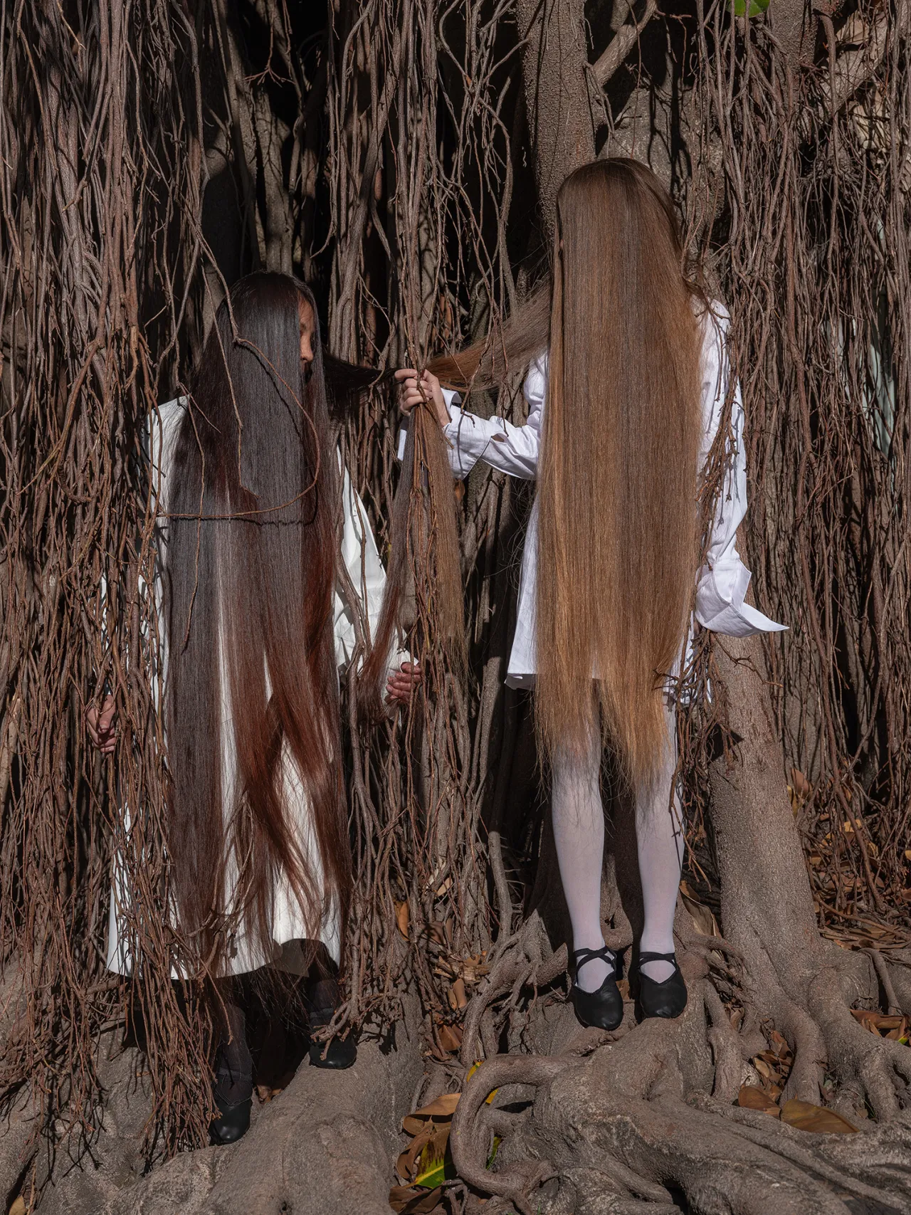 From Las Pelilargas © Irina Werning