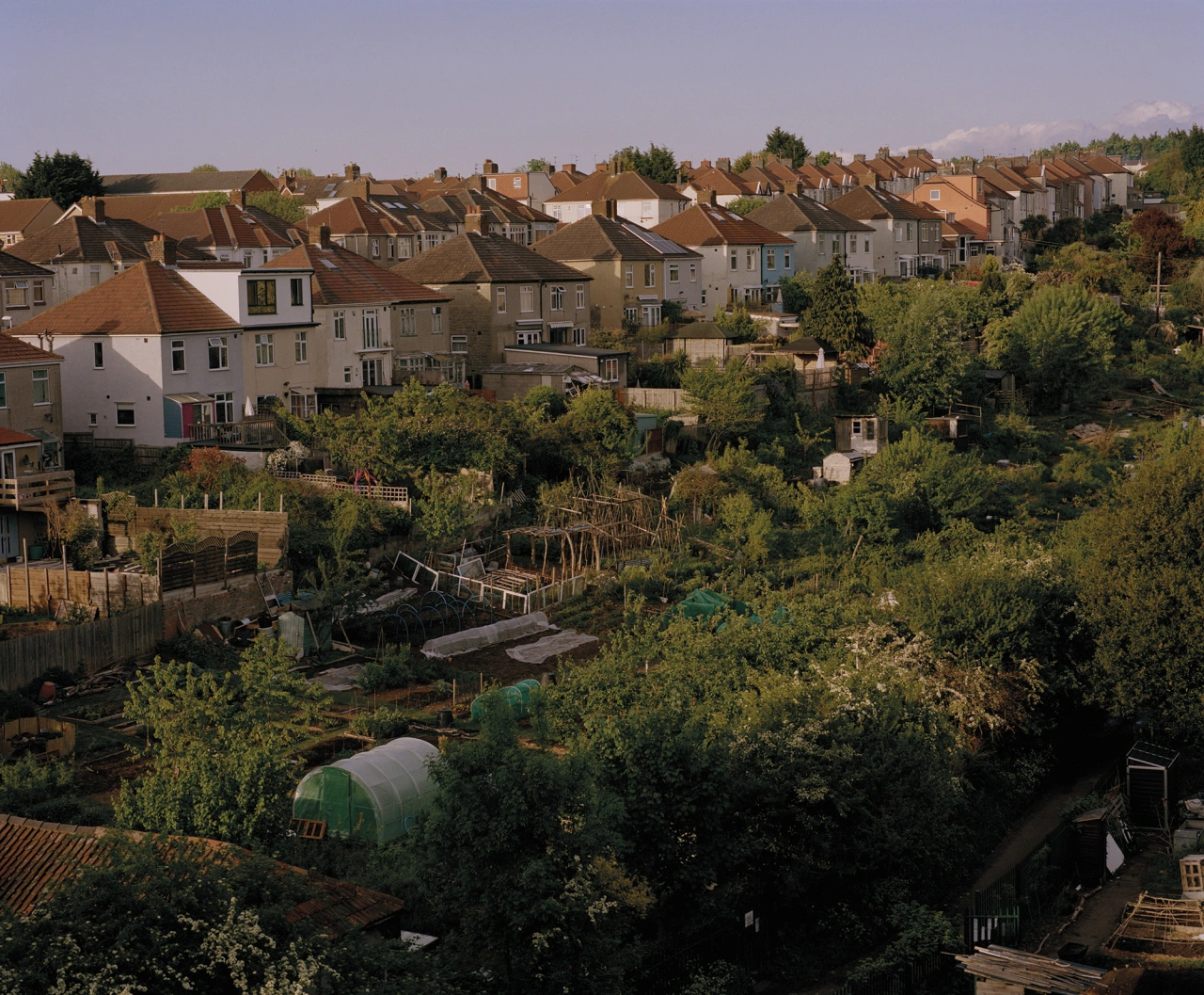 From ‘Growing Spaces’ 2020 © Chris Hoare