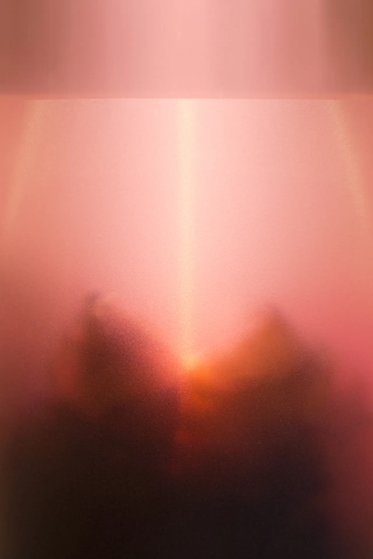 © Xandra van der Eijk