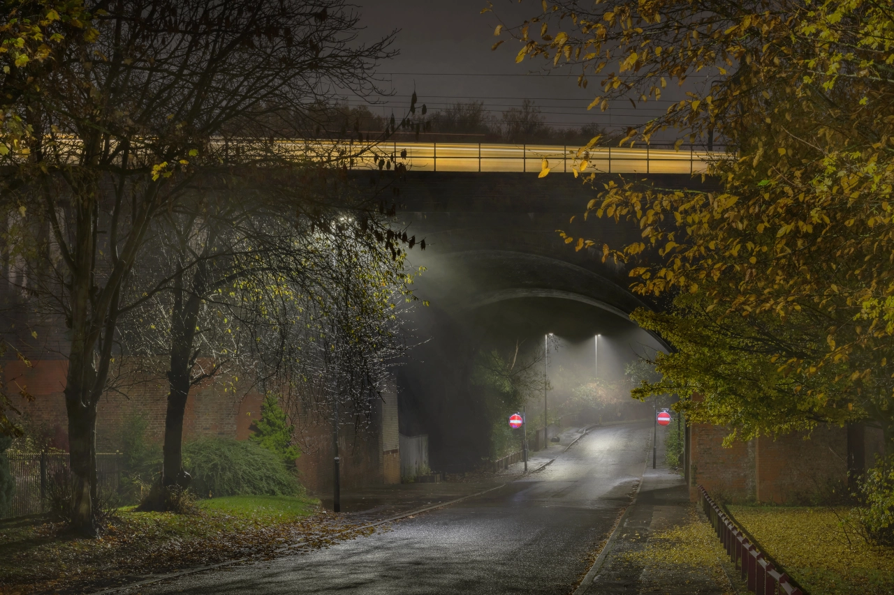 © Simon Buckley