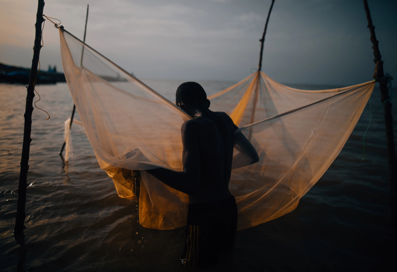© Jeremy Snell