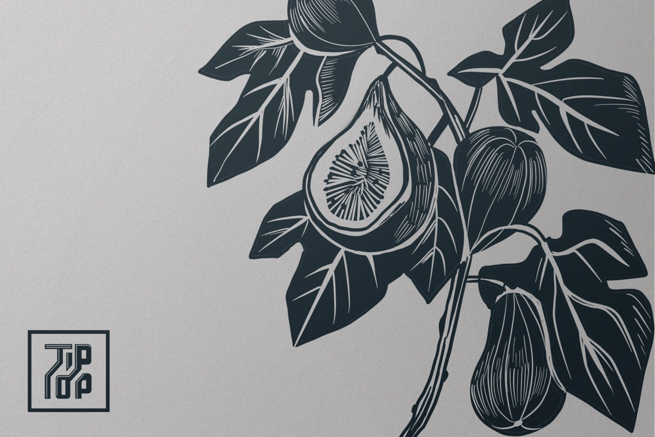 Cascara Creatives