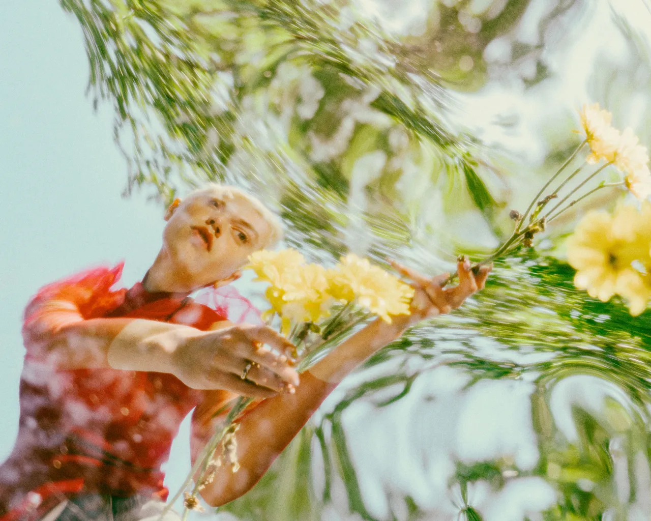 Wide Angle: Distorted © Molly Strohl