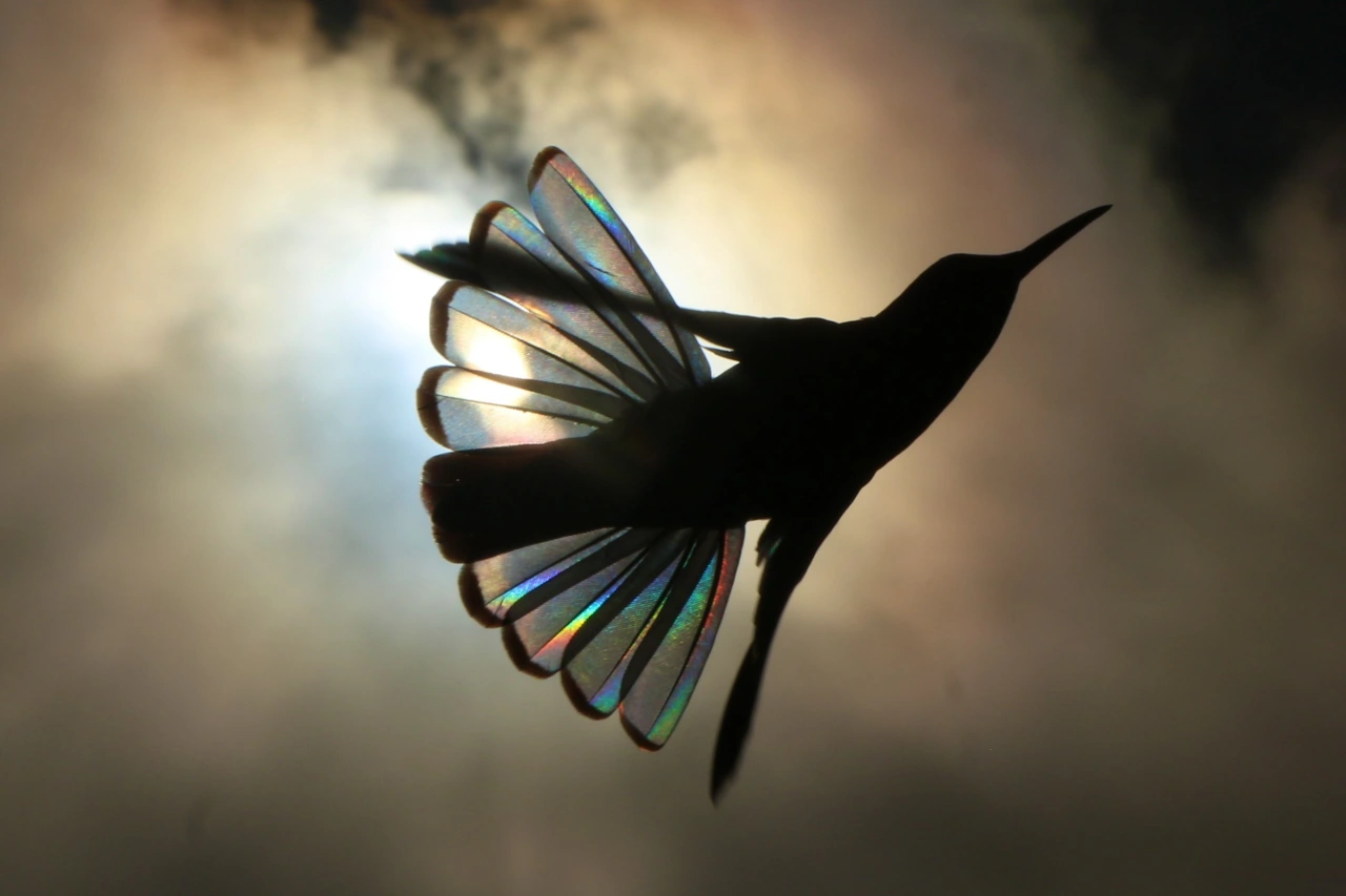Cloud Angel © Christian Spencer