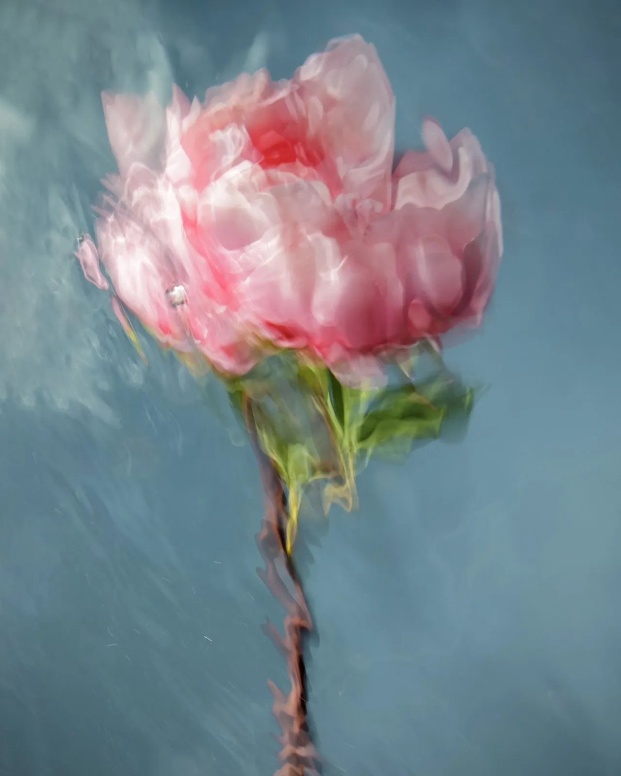 © Barbara Cole