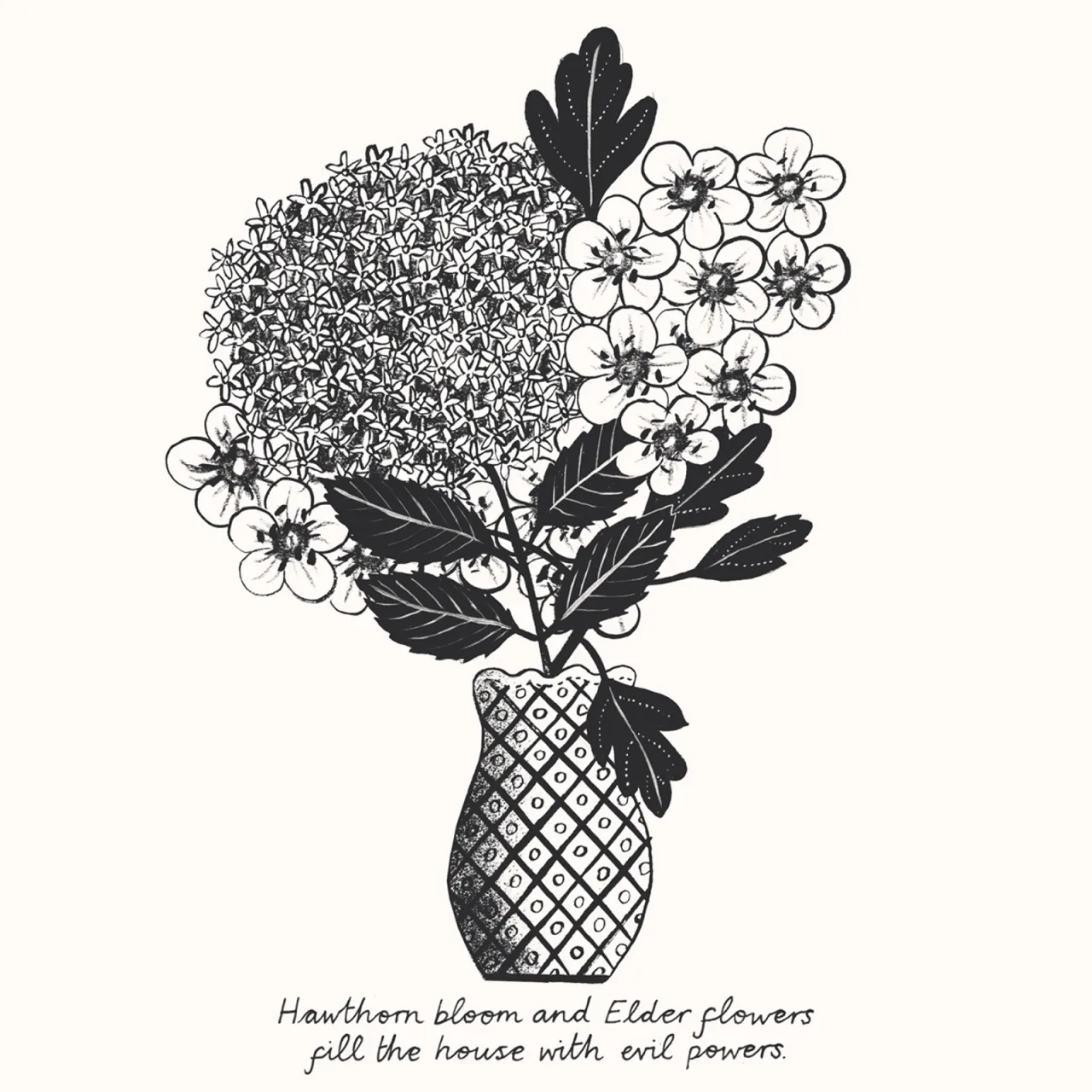 Alice Pattullo Elderflower and Hawthorn, 2016 Courtesy the artist
