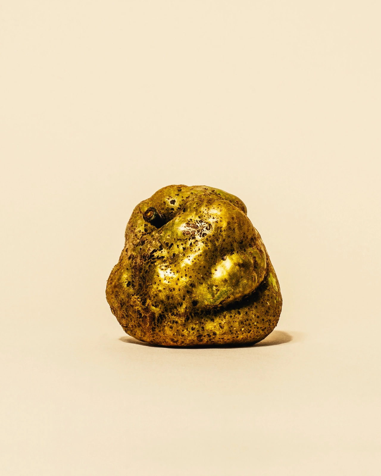 Knobbed Russet © 2021 William Mullan